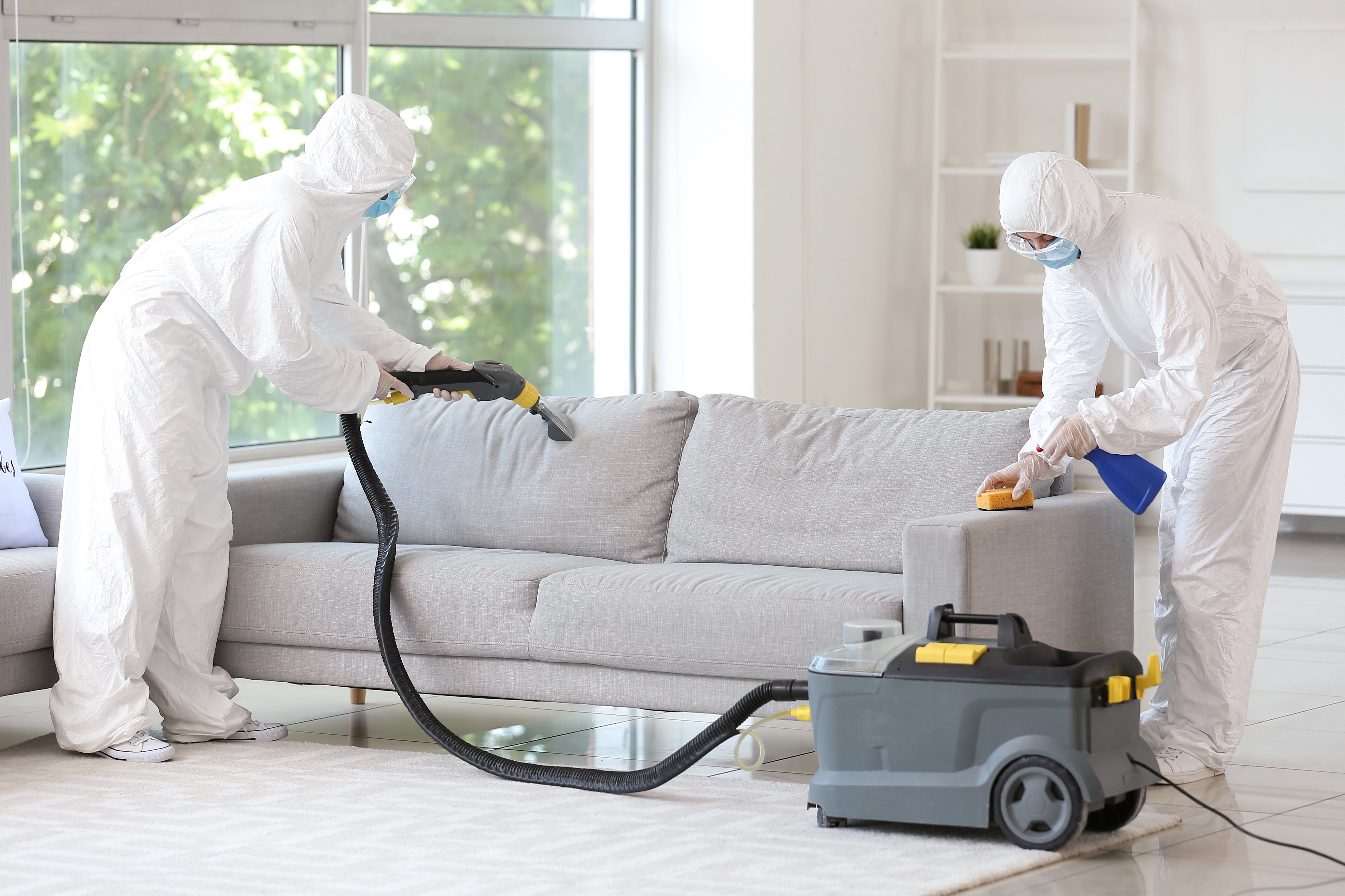 Amisfield Pest Services