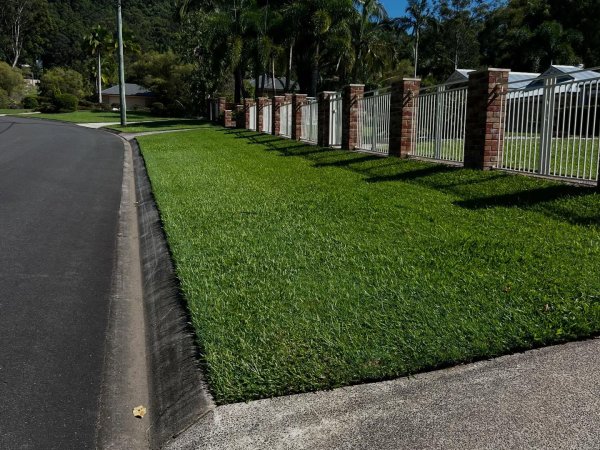 Lawn Maintenance