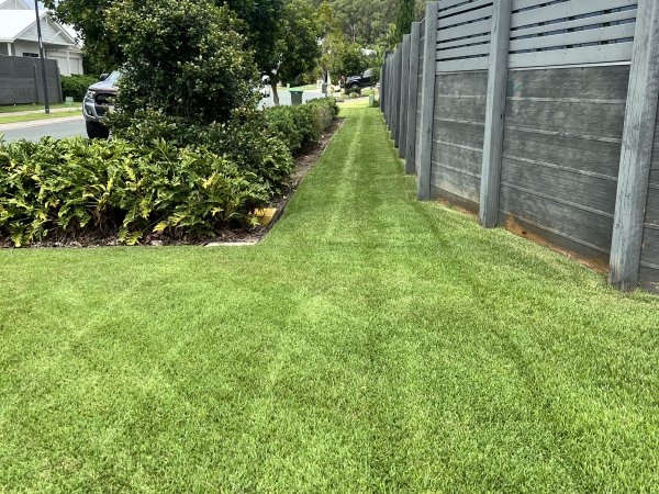 Tree and Shrub Care
