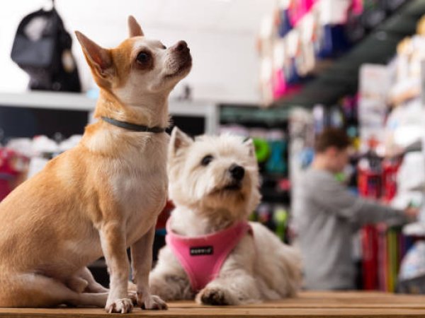 Pet Shop