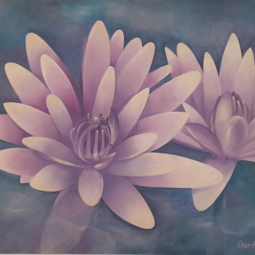 Cairns North Yoga
