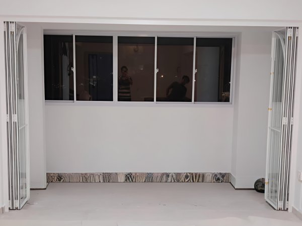 Folding Door