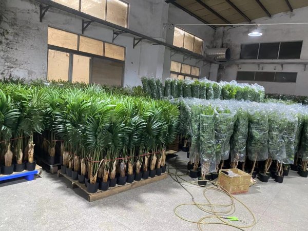 Wholesale Artificial Plants
