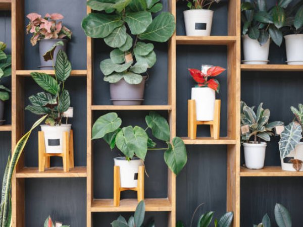 Custom Artificial Plant Designs