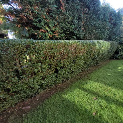 Gracious Gardens Kent
