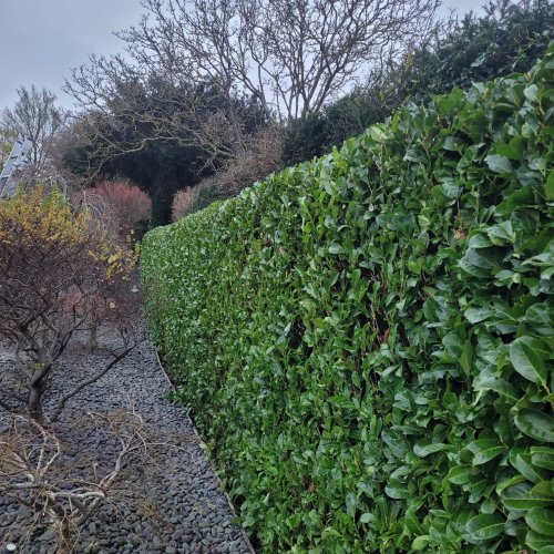 Gracious Gardens Kent