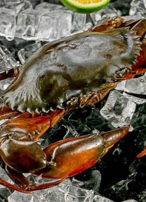 Happy Dining Seafood (喜来聚海鲜)