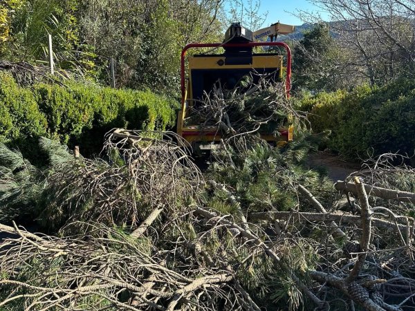 Land Clearing