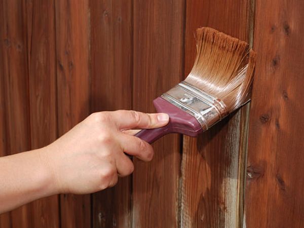 Deck and Fence Painting