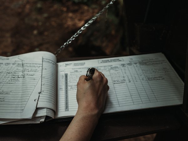 Logbook Servicing