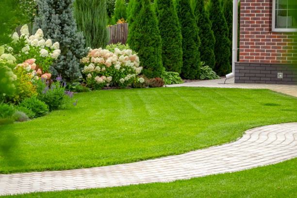 Garden Design