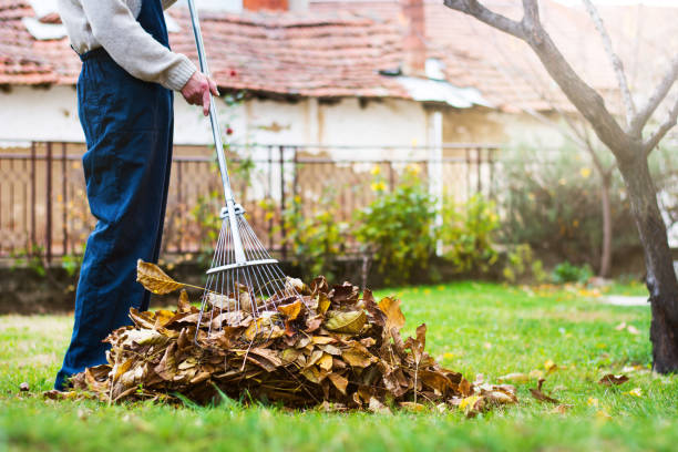 Seasonal Cleanups