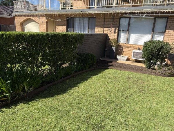 Wedgie Trees and Landscaping