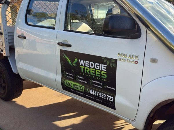 Wedgie Trees and Landscaping