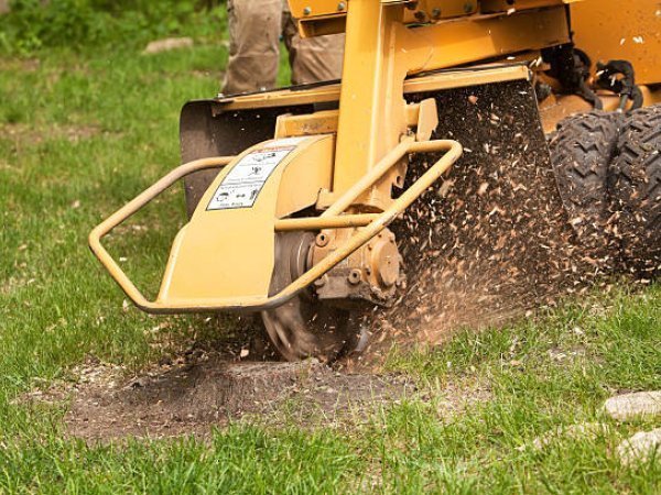 Stump Grinding