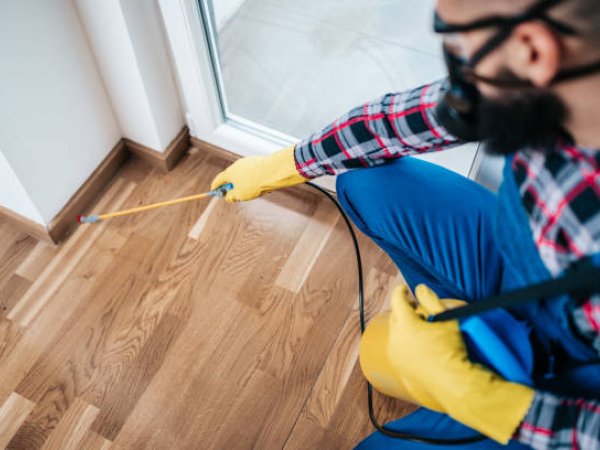Pest Exterminator
