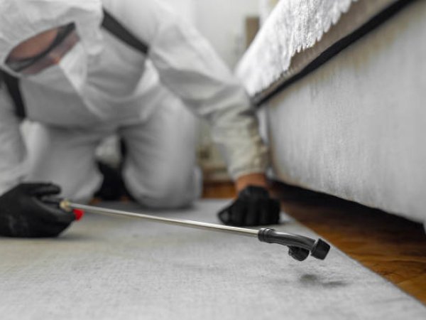 Residential Pest Control