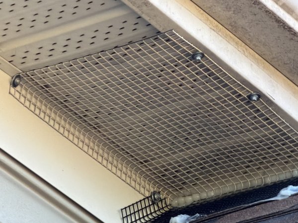 Bird Control