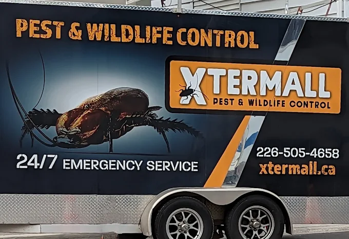 Xtermall Pest & Wildlife Control